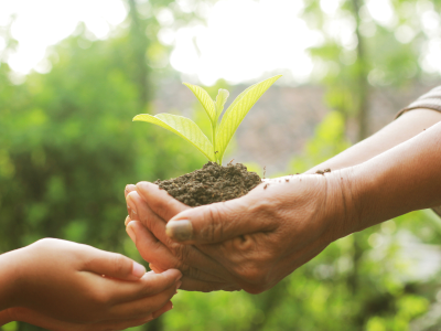 Environmental Health & Sustainability